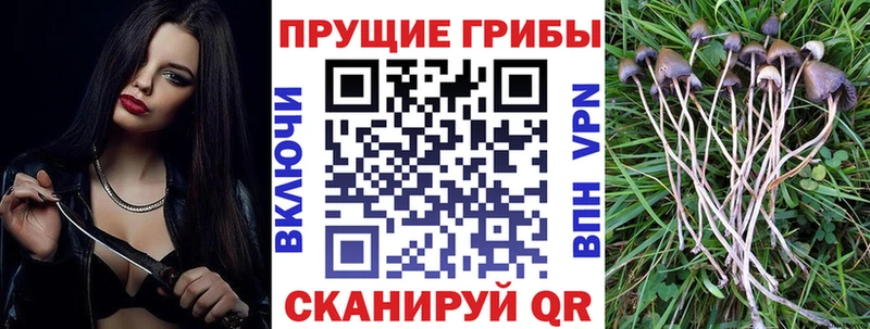 Галлюциногенные грибы ЛСД  Люберцы 