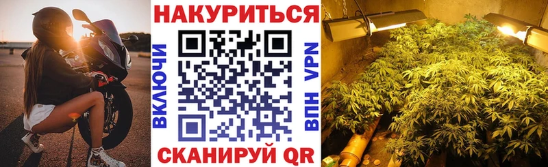 Бошки марихуана планчик  Люберцы 